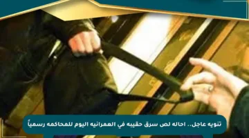 تنويه عاجل.. إحالة لص سرق حقيبة في العمرانية اليوم للمحاكمة رسمياً
